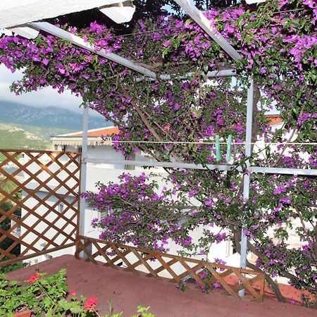 Apartment Sandra Budva Pokoj fotografie