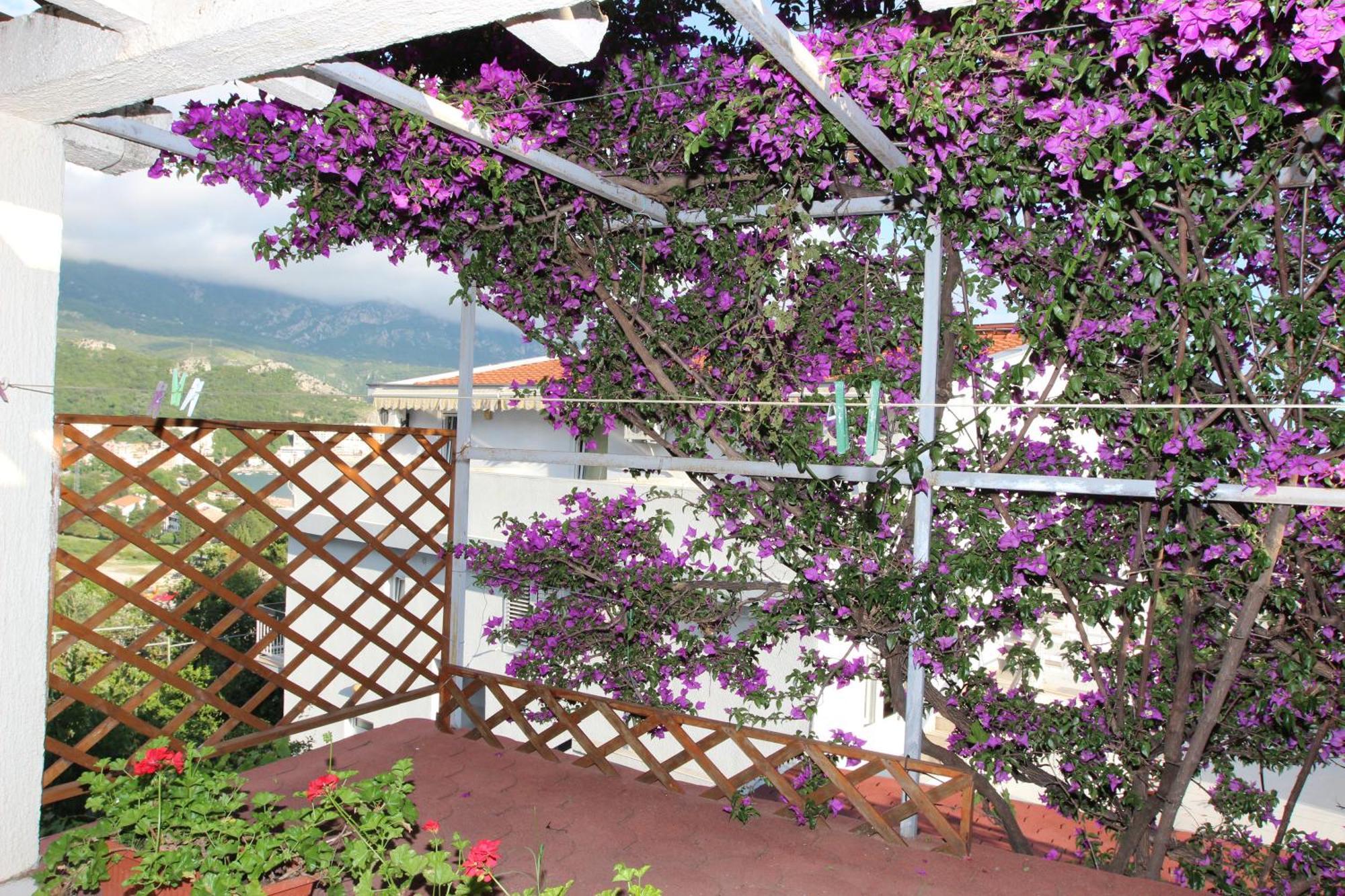 Apartment Sandra Budva Pokoj fotografie